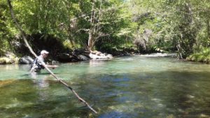 Voyage pêche Pallaresa