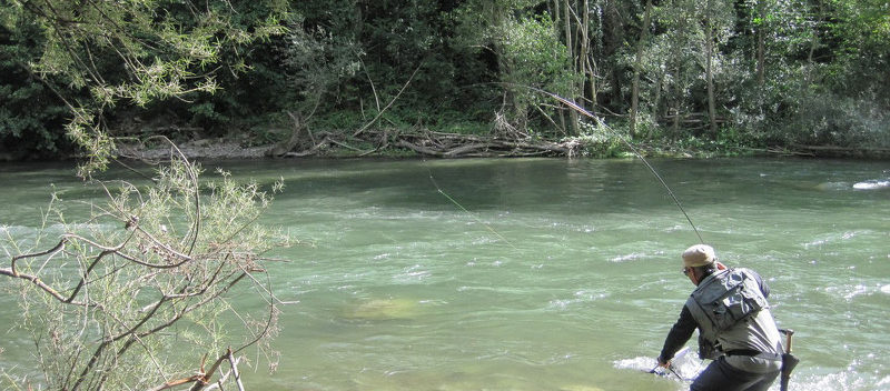 Fly Fishing Pyrenees Guide De Peche A La Mouche Dans Les Pyrenees